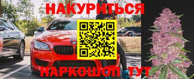 молекула духа Гатчина