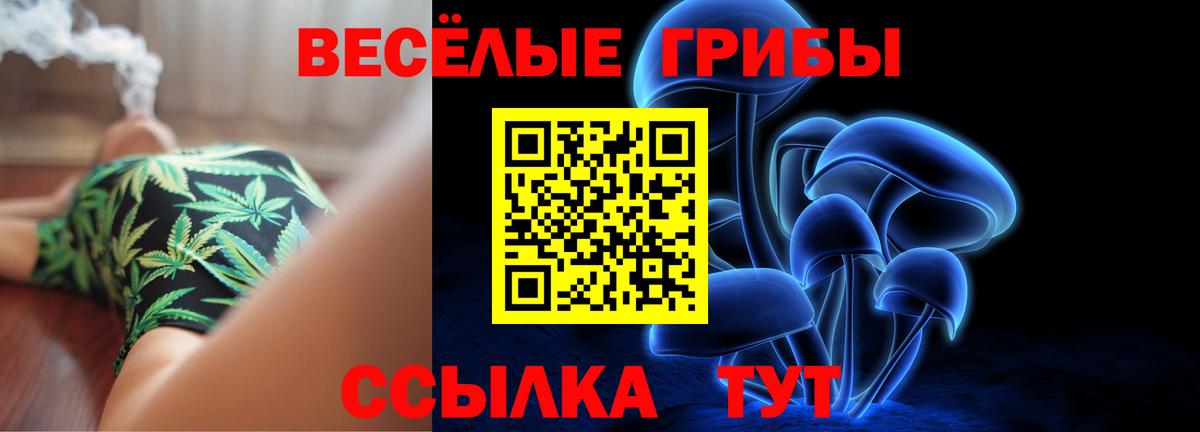 Галлюциногенные грибы мухоморы Мирный